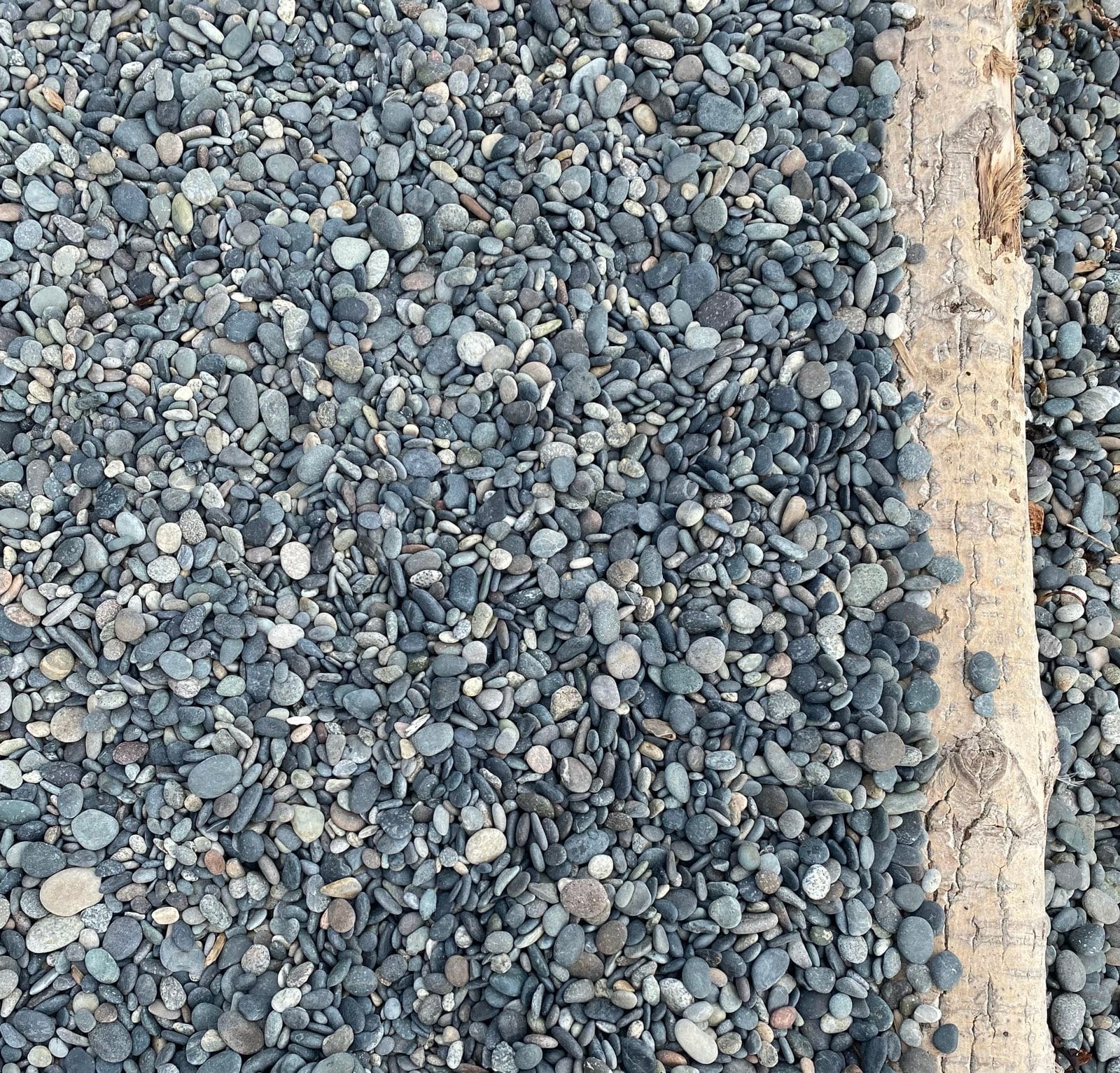 photo of stones and log