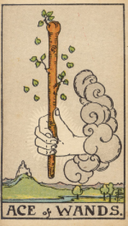 tarot card of ACE of WANDS