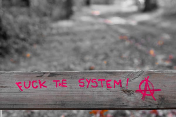 Thirty Days of Prompts and Opportunities for Solidarity: Week One