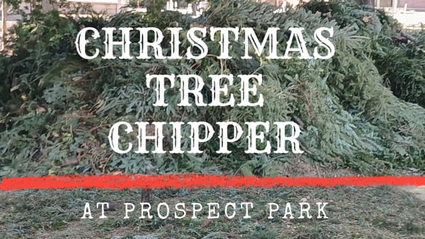 The Christmas tree chipper at Prospect Park